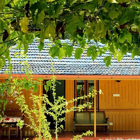 Marari Beach Pearl Homestay Mararikulam Zewnętrze zdjęcie