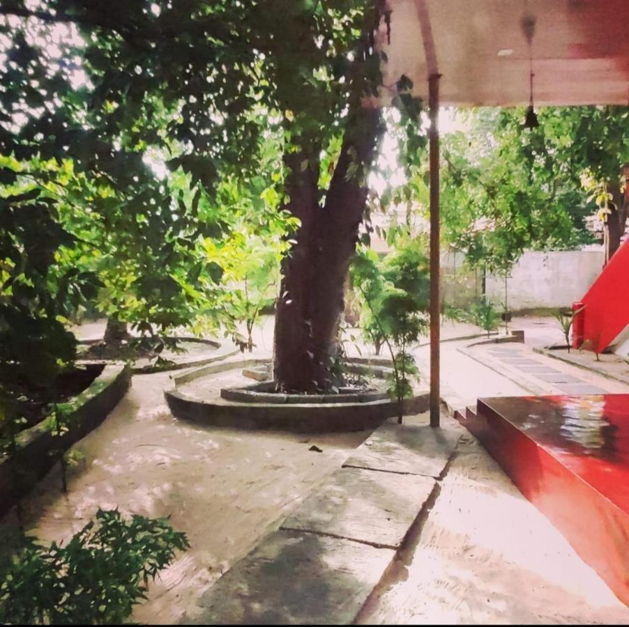 Marari Beach Pearl Homestay Mararikulam Zewnętrze zdjęcie