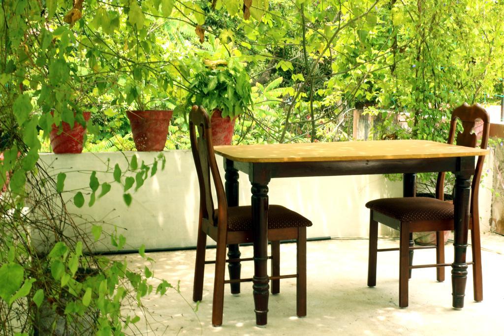 Marari Beach Pearl Homestay Mararikulam Zewnętrze zdjęcie
