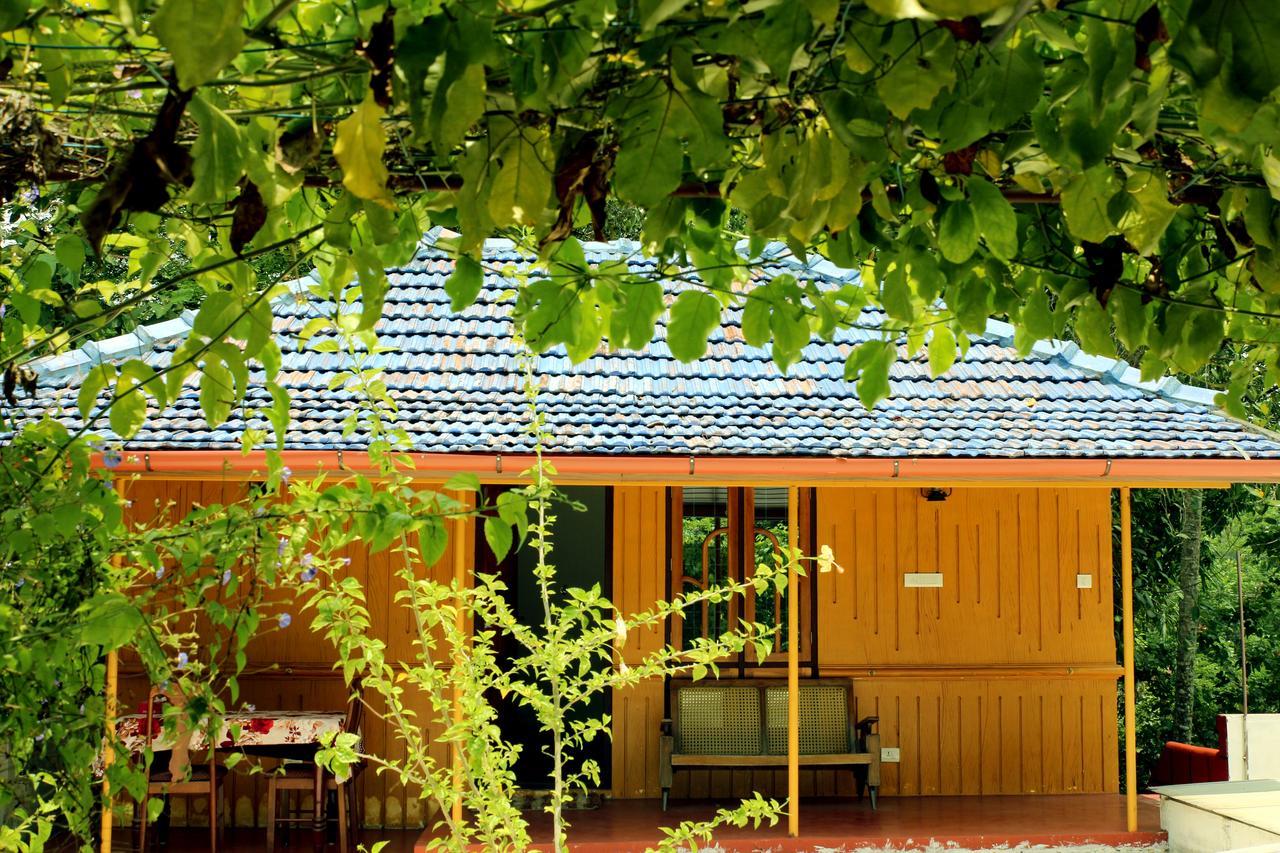 Marari Beach Pearl Homestay Mararikulam Zewnętrze zdjęcie