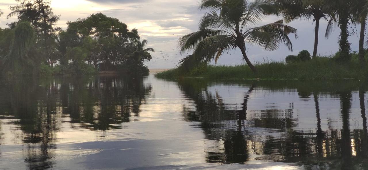Marari Beach Pearl Homestay Mararikulam Zewnętrze zdjęcie